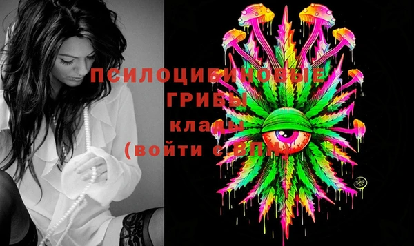 тгк Алексин